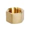 Homeplus+ ATC 3/4 in. FPT Brass Cap 6JC120810701025 - alternate 2